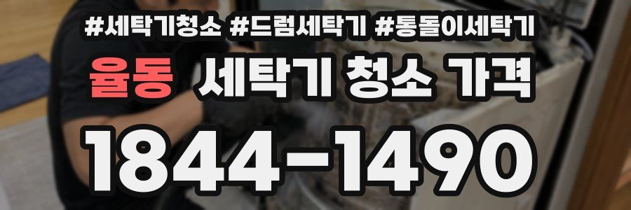 율동 세탁기 청소 가격