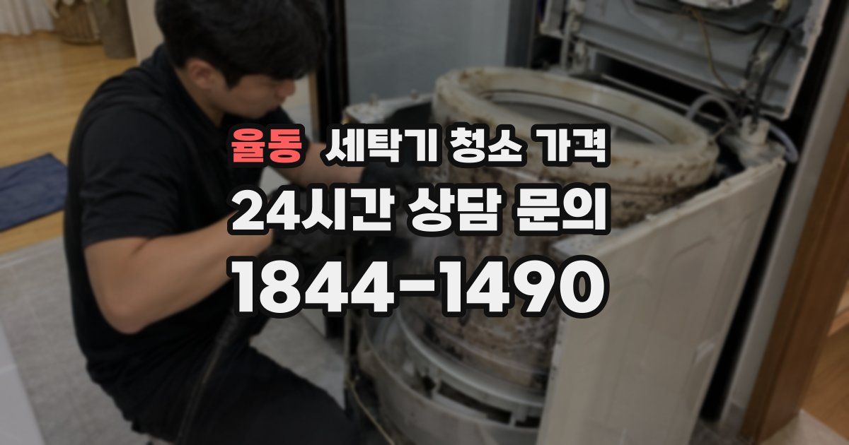 율동 세탁기 청소 가격