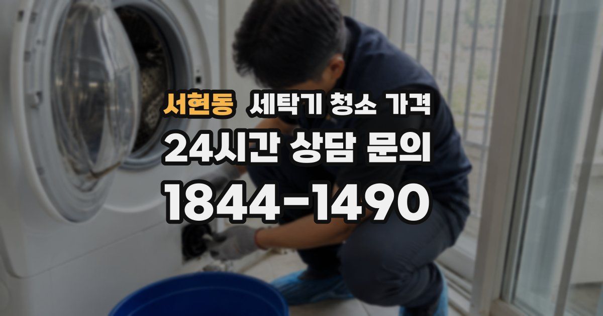 서현동 세탁기 청소 가격
