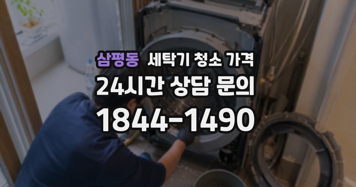 삼평동 세탁기 청소 가격