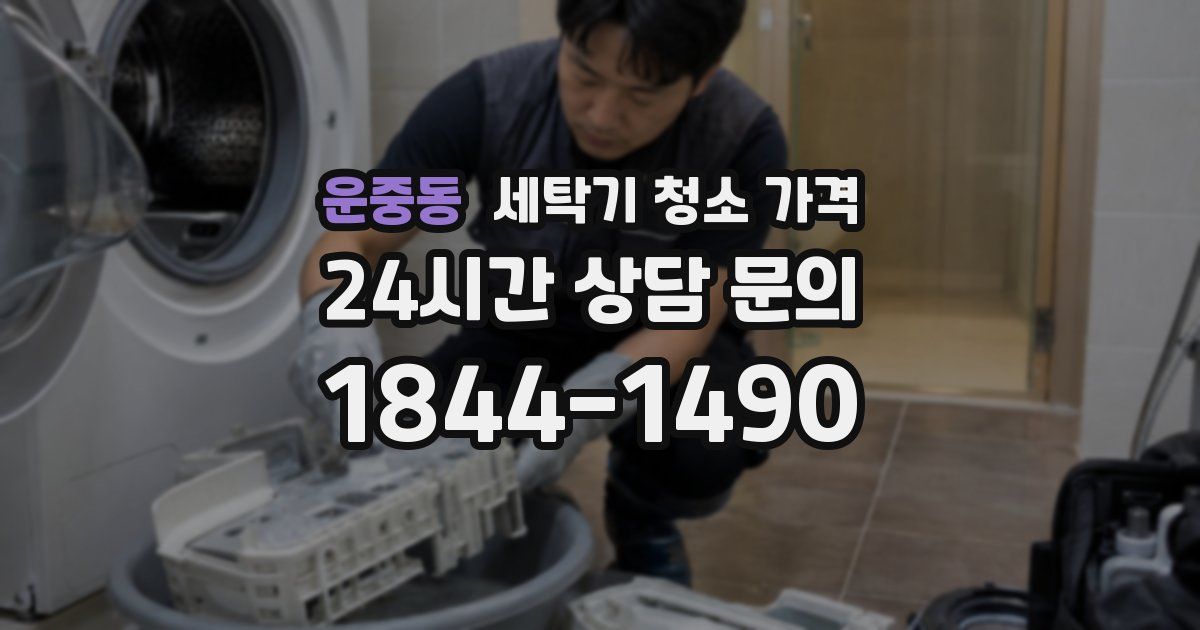 운중동 세탁기 청소 가격