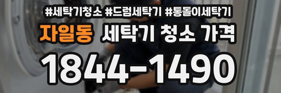 자일동 세탁기 청소 가격