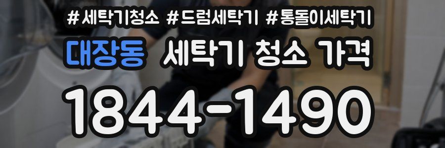 대장동 세탁기 청소 가격