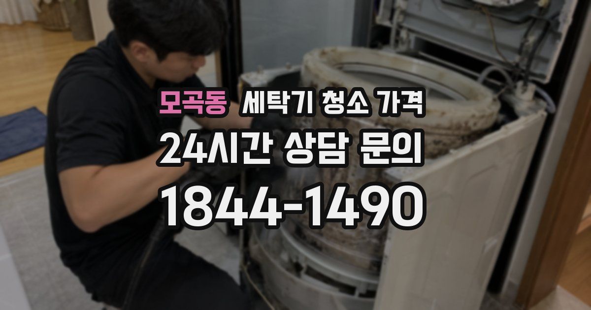 모곡동 세탁기 청소 가격