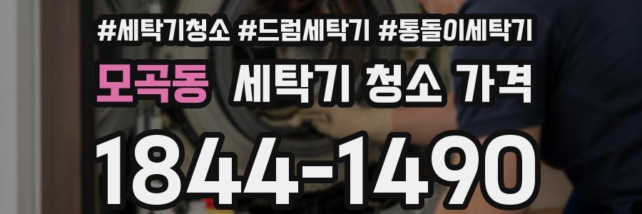 모곡동 세탁기 청소 가격