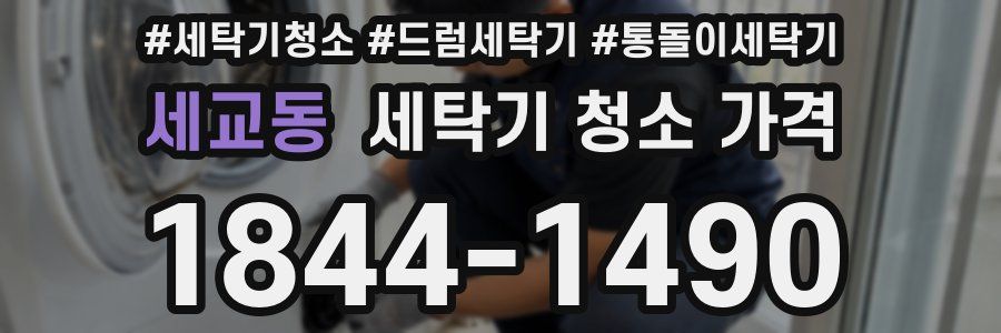 세교동 세탁기 청소 가격