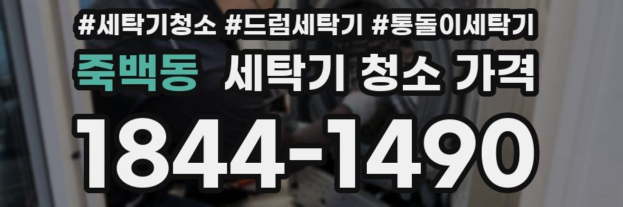 죽백동 세탁기 청소 가격