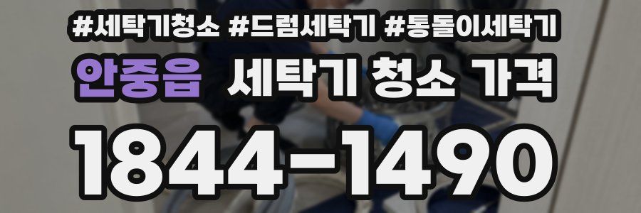안중읍 세탁기 청소 가격