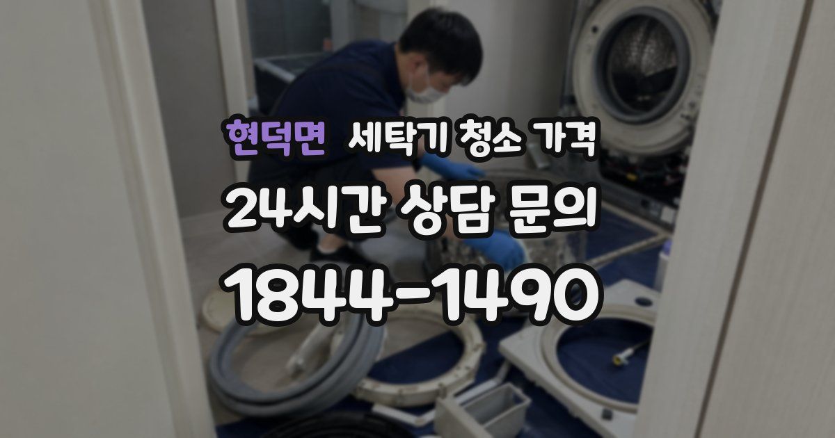 현덕면 세탁기 청소 가격