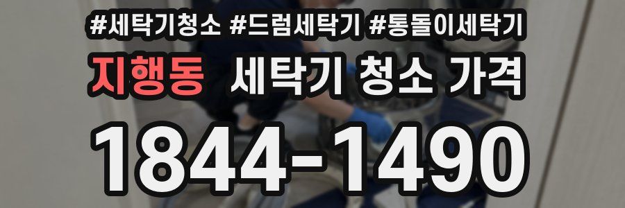 지행동 세탁기 청소 가격