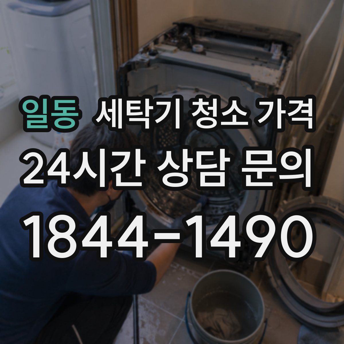 일동 세탁기 청소 가격