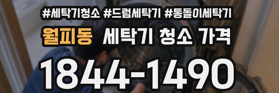 월피동 세탁기 청소 가격