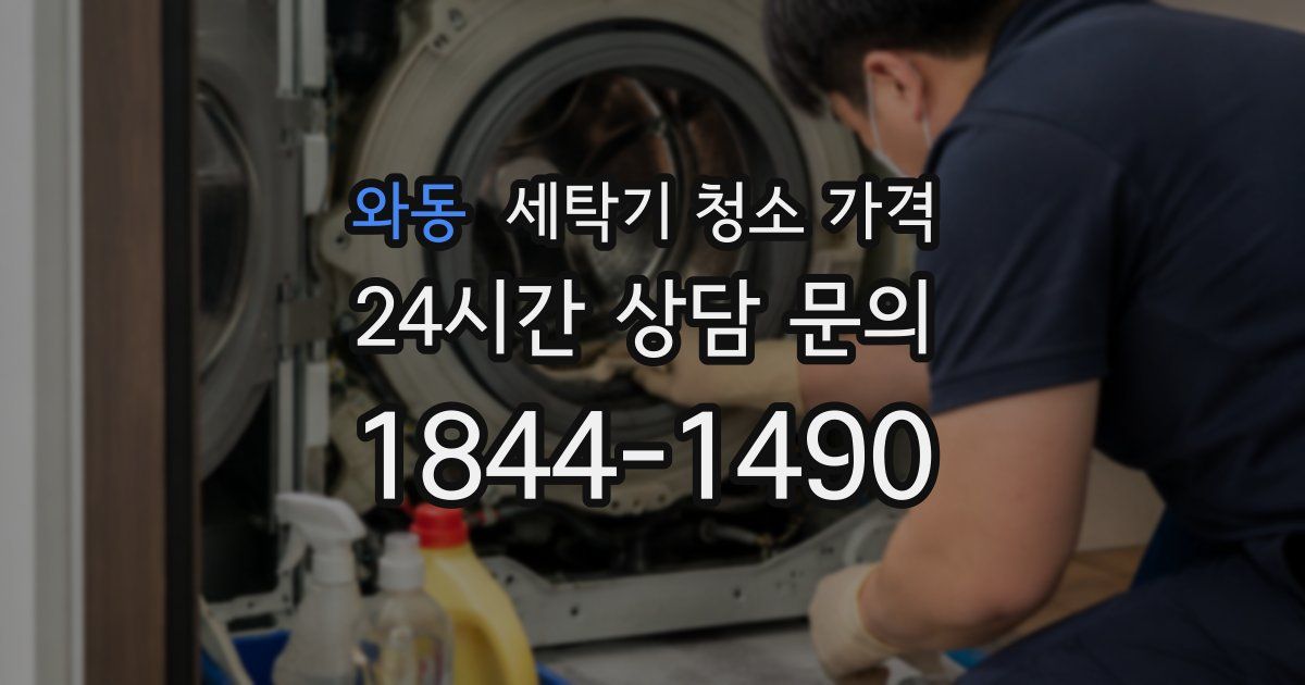 와동 세탁기 청소 가격