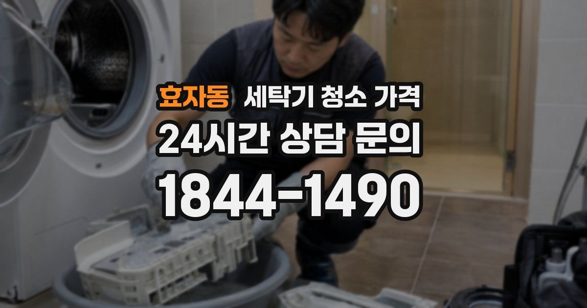 효자동 세탁기 청소 가격