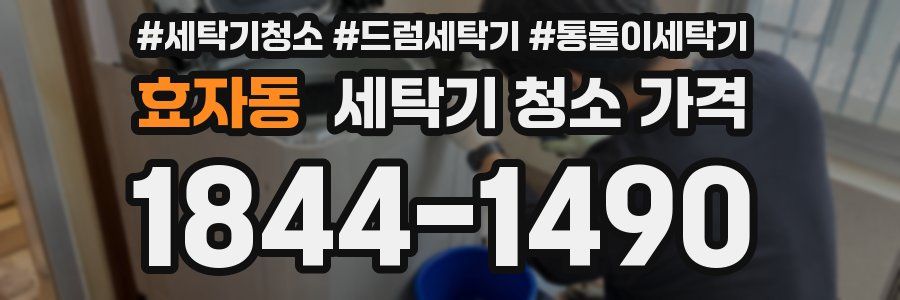 효자동 세탁기 청소 가격