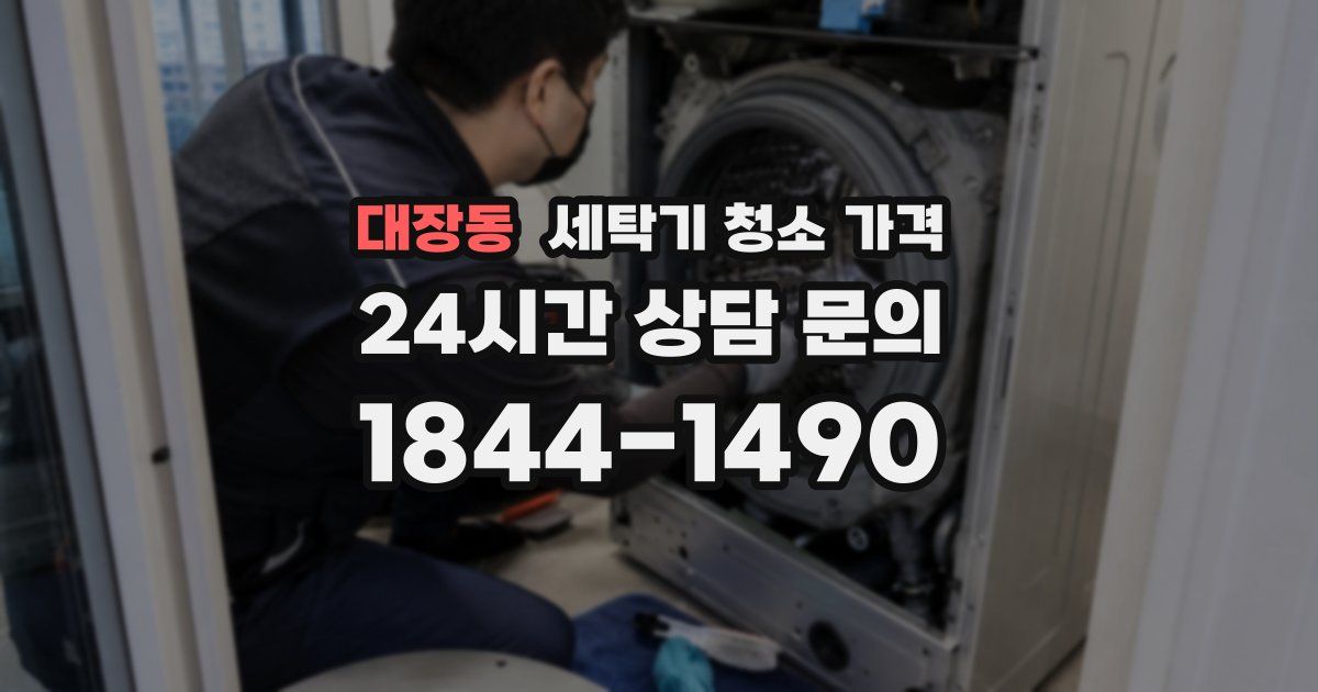 대장동 세탁기 청소 가격