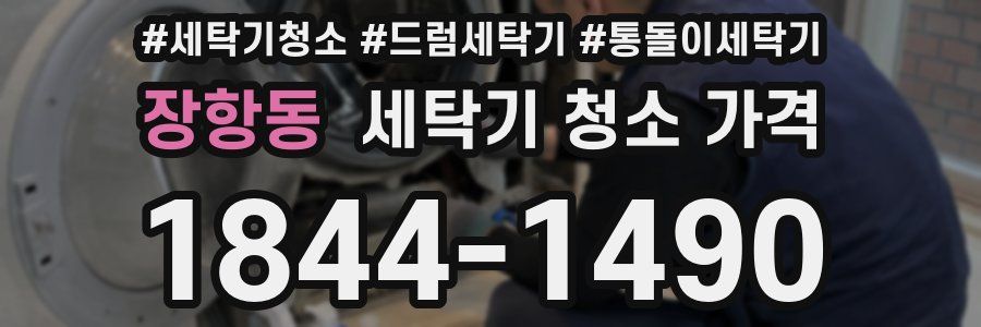 장항동 세탁기 청소 가격