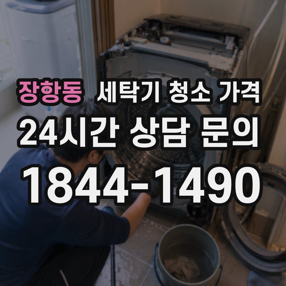 장항동 세탁기 청소 가격
