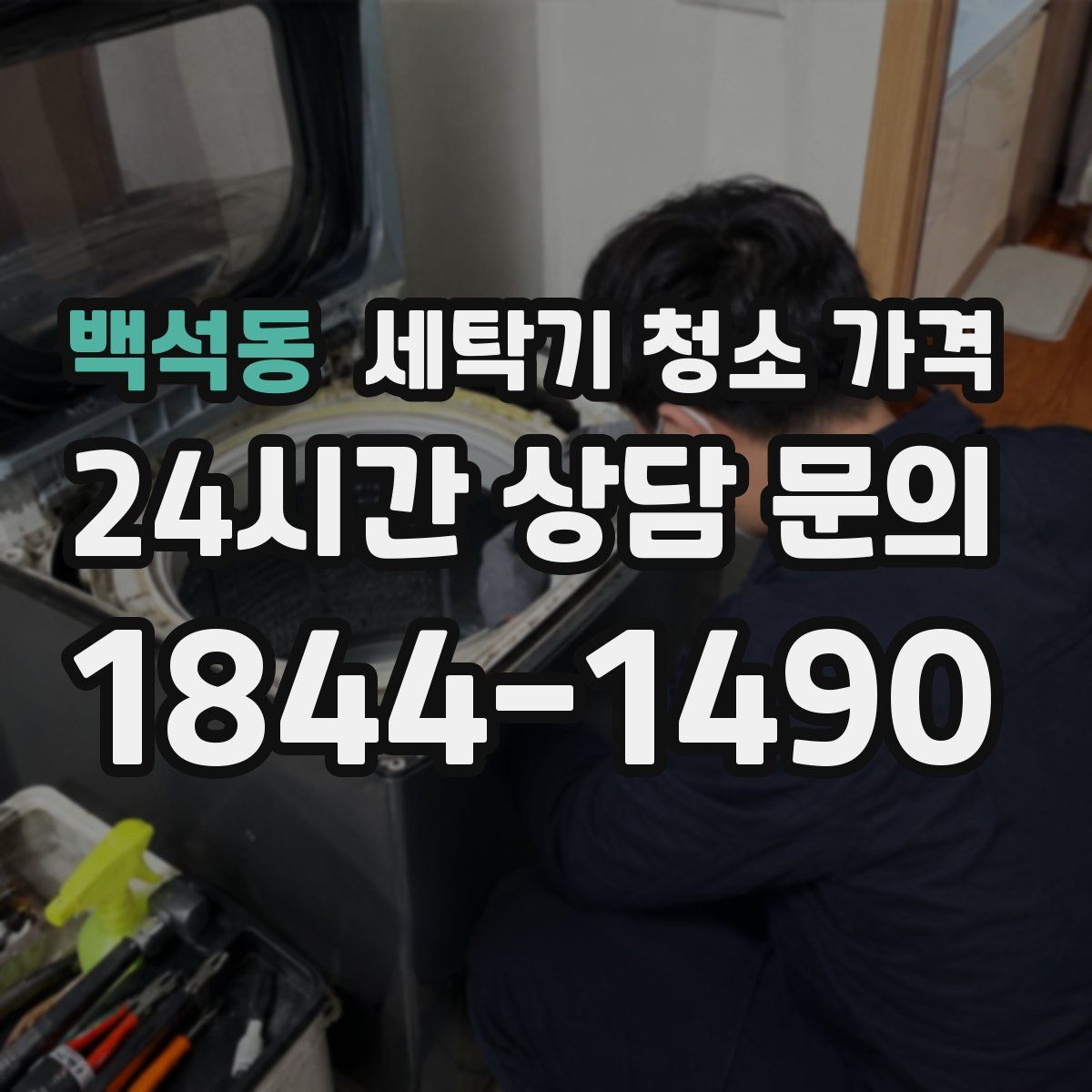 백석동 세탁기 청소 가격