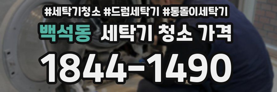 백석동 세탁기 청소 가격