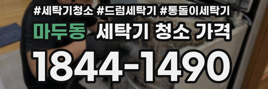 마두동 세탁기 청소 가격