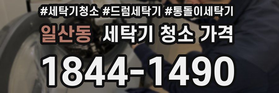일산동 세탁기 청소 가격