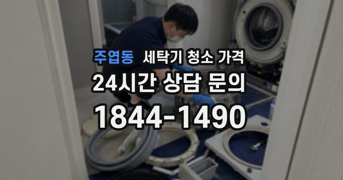 주엽동 세탁기 청소 가격