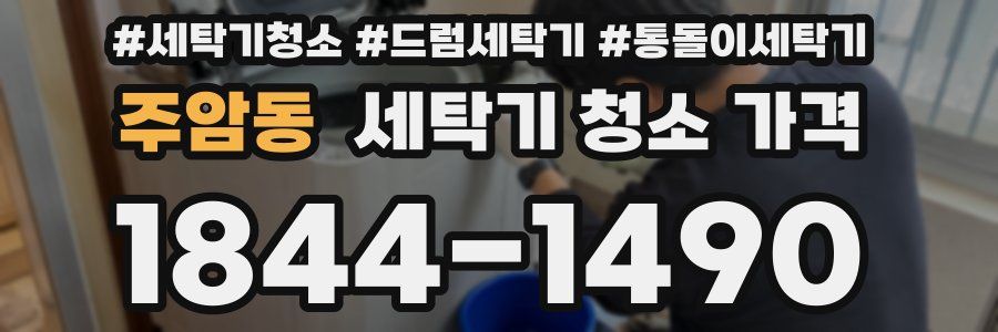 주암동 세탁기 청소 가격
