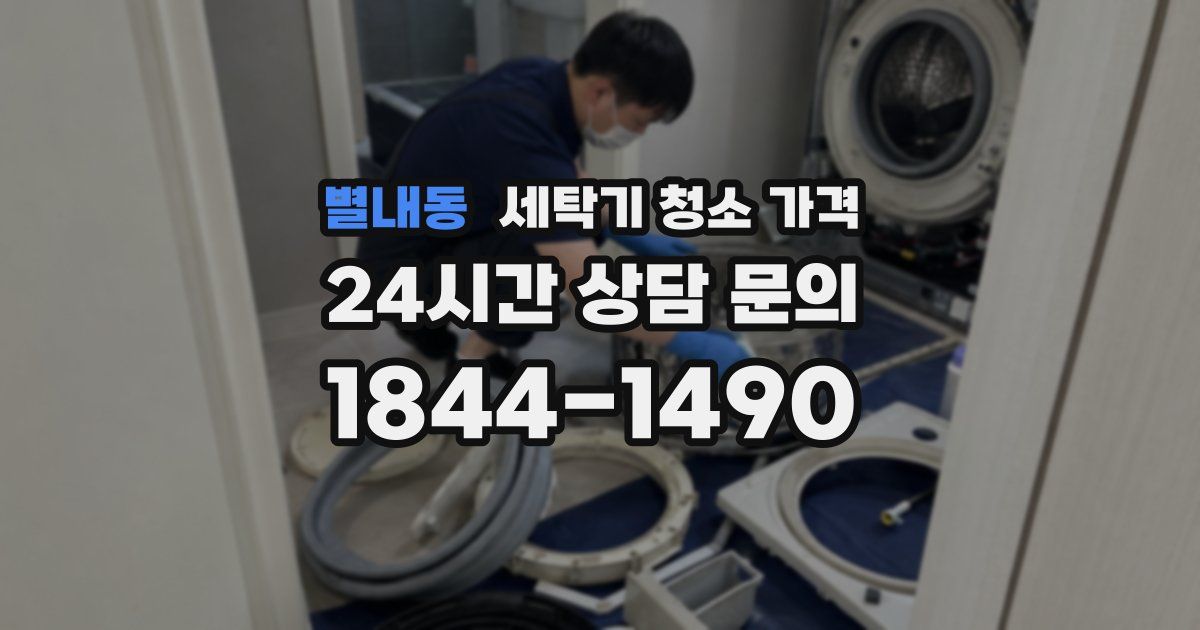 별내동 세탁기 청소 가격