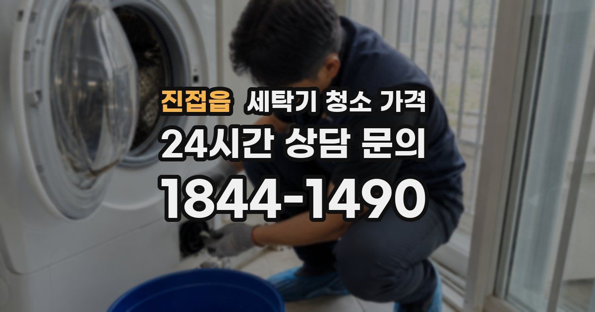 진접읍 세탁기 청소 가격