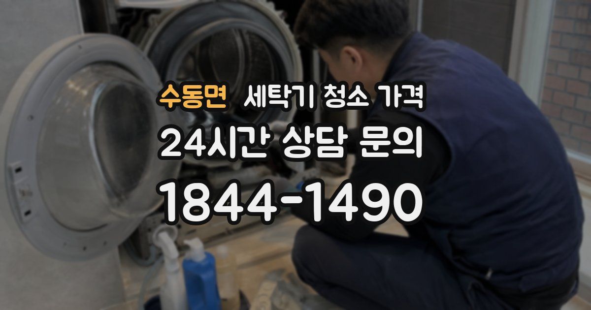 수동면 세탁기 청소 가격