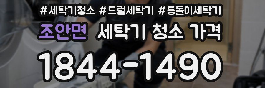 조안면 세탁기 청소 가격