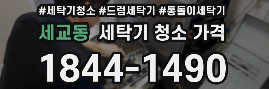 세교동 세탁기 청소 가격