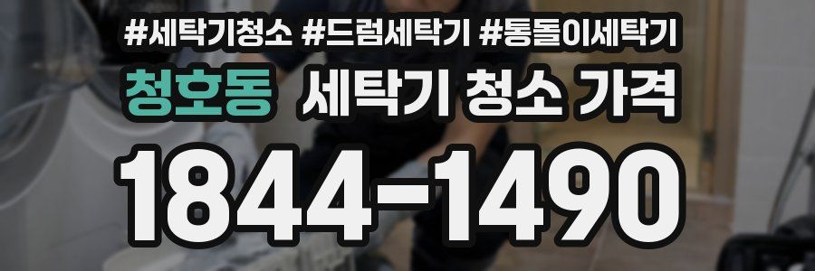 청호동 세탁기 청소 가격
