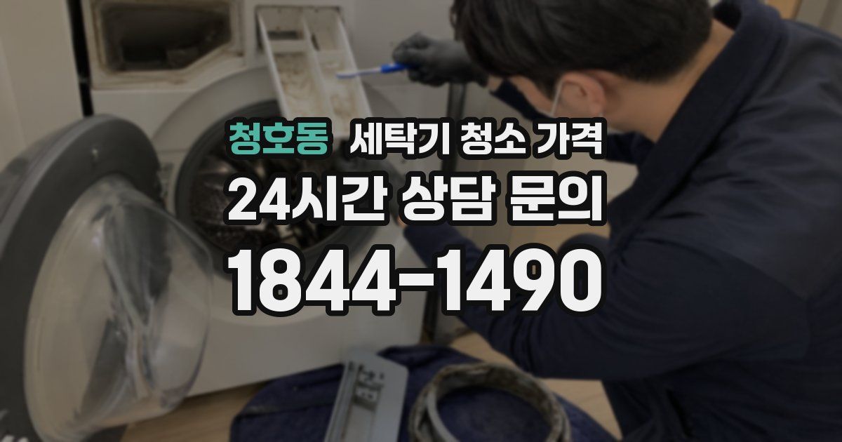 청호동 세탁기 청소 가격