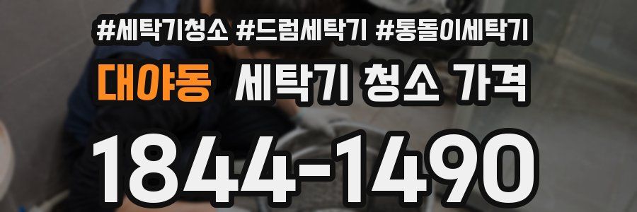 대야동 세탁기 청소 가격