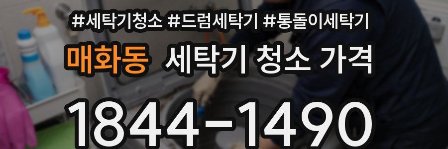 매화동 세탁기 청소 가격