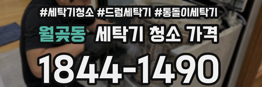 월곶동 세탁기 청소 가격