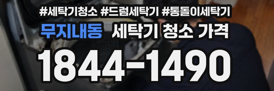 무지내동 세탁기 청소 가격