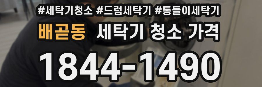 배곧동 세탁기 청소 가격