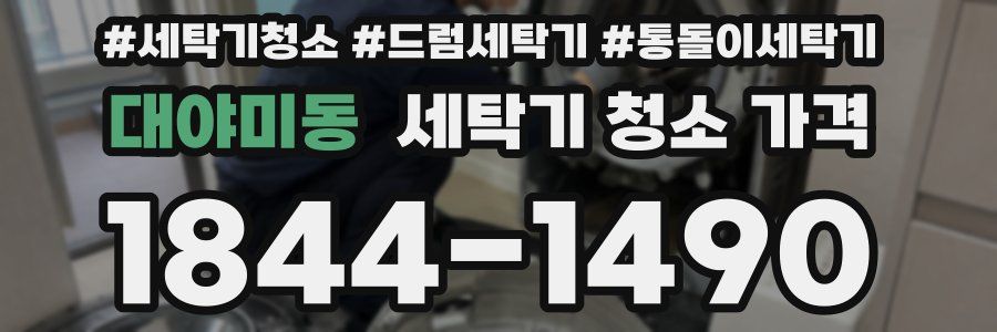 대야미동 세탁기 청소 가격