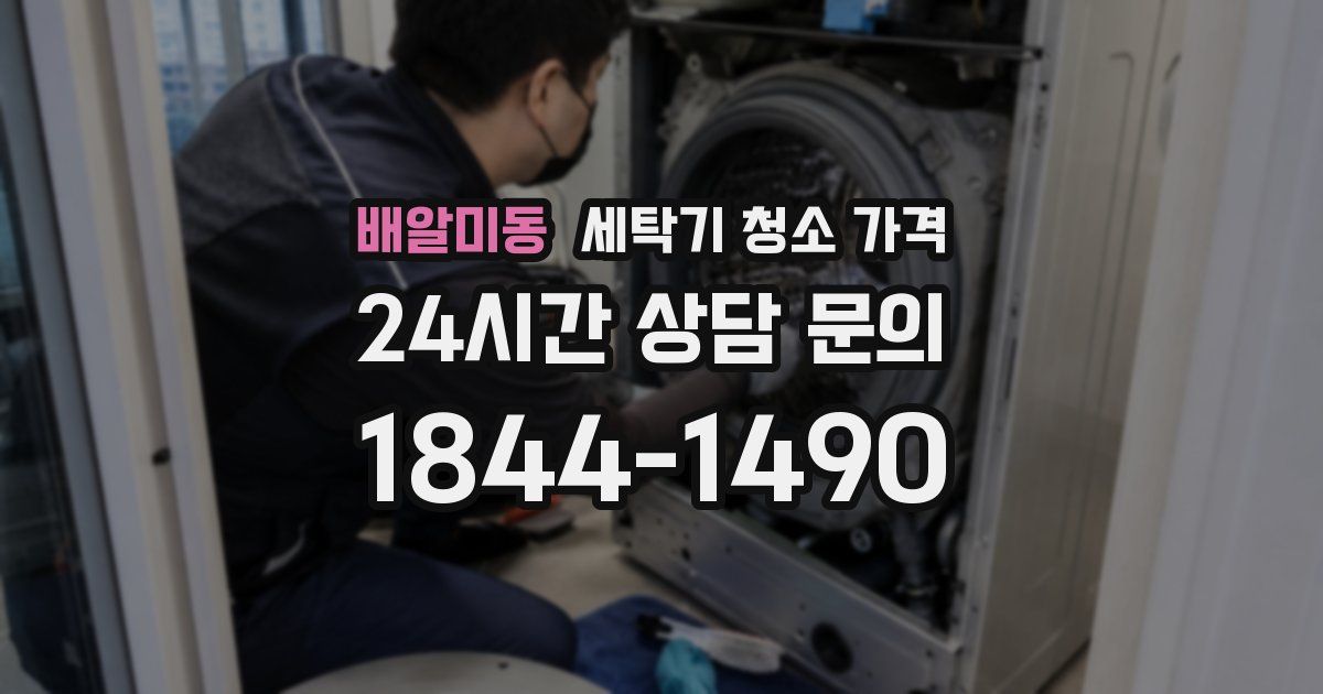 배알미동 세탁기 청소 가격
