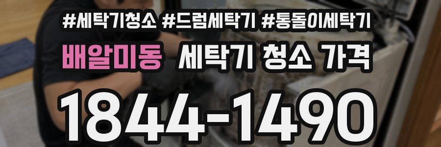 배알미동 세탁기 청소 가격