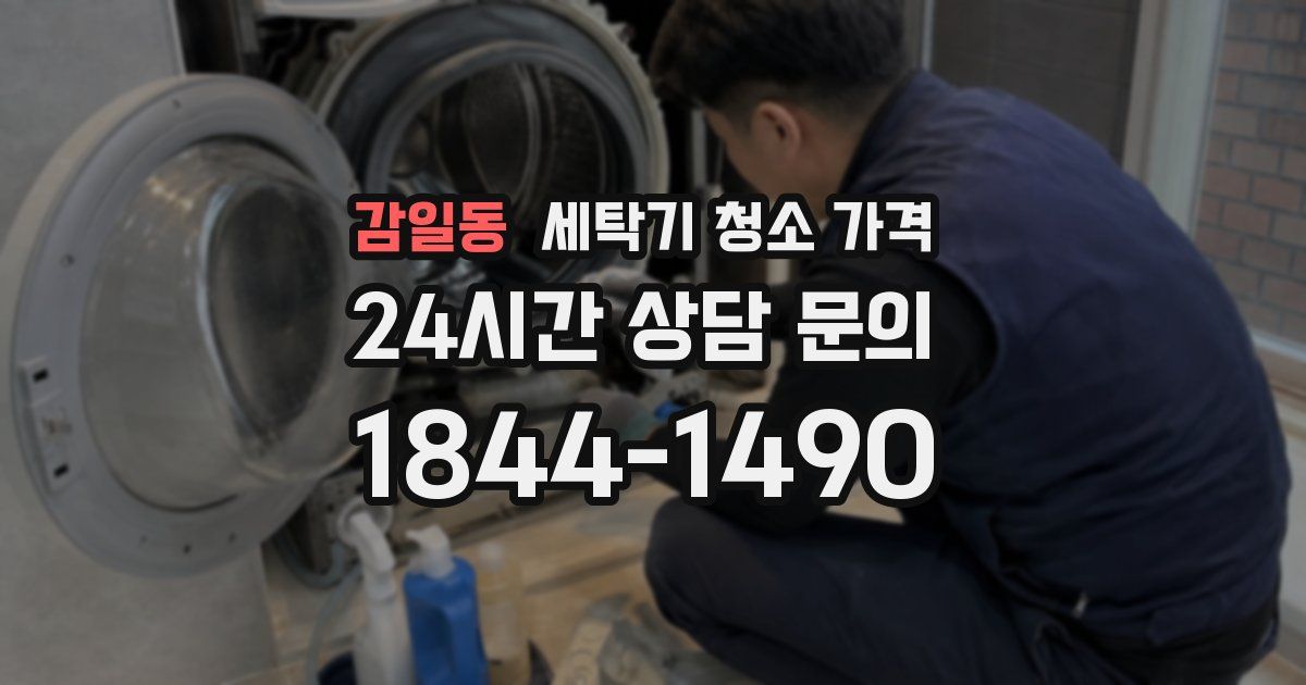 감일동 세탁기 청소 가격