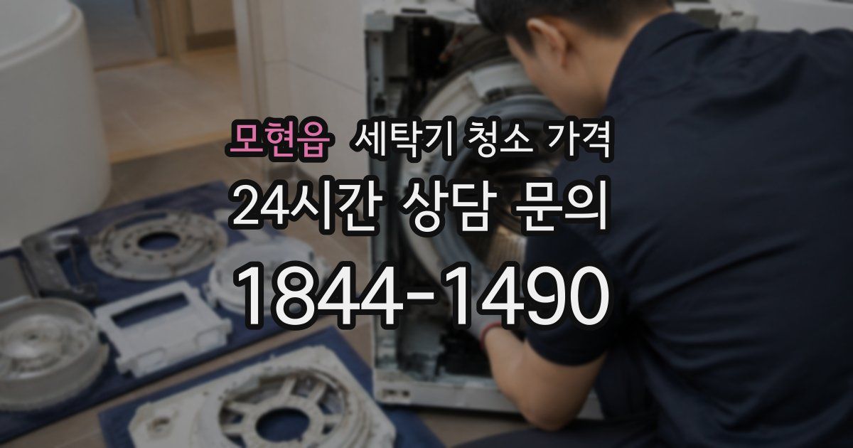 모현읍 세탁기 청소 가격