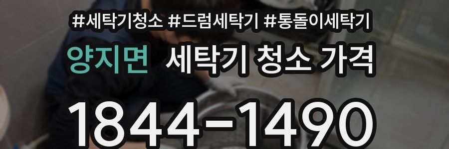 양지면 세탁기 청소 가격