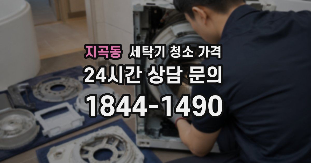지곡동 세탁기 청소 가격