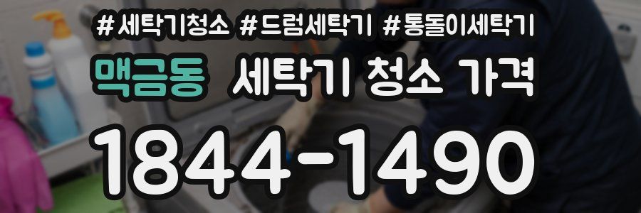 맥금동 세탁기 청소 가격