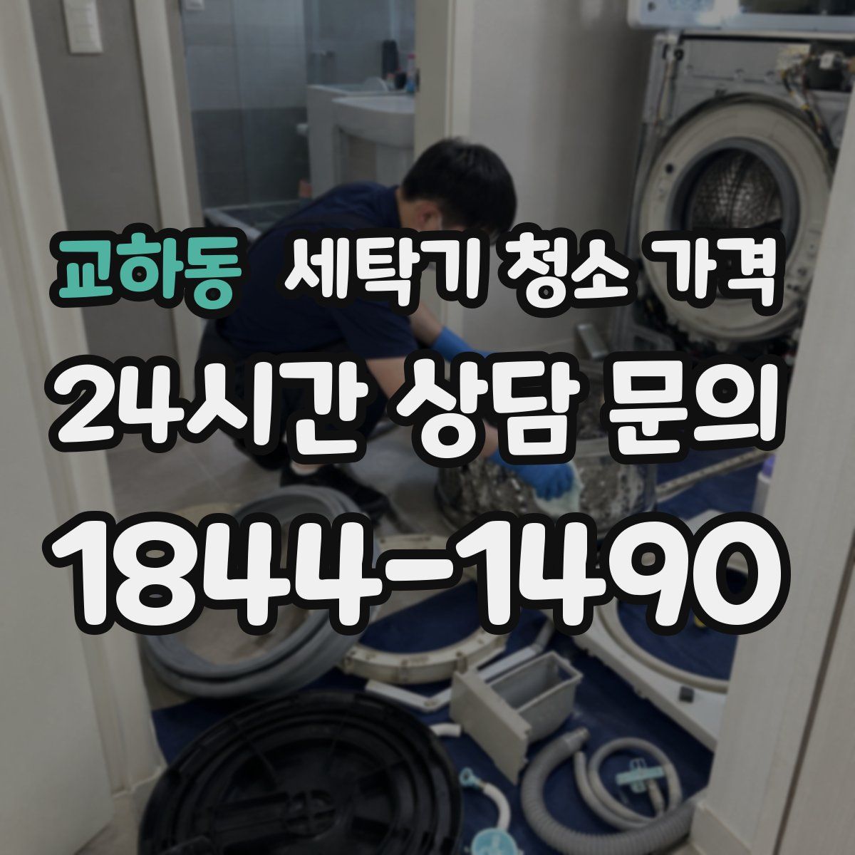 교하동 세탁기 청소 가격