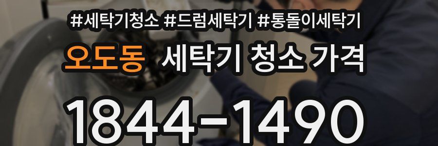 오도동 세탁기 청소 가격
